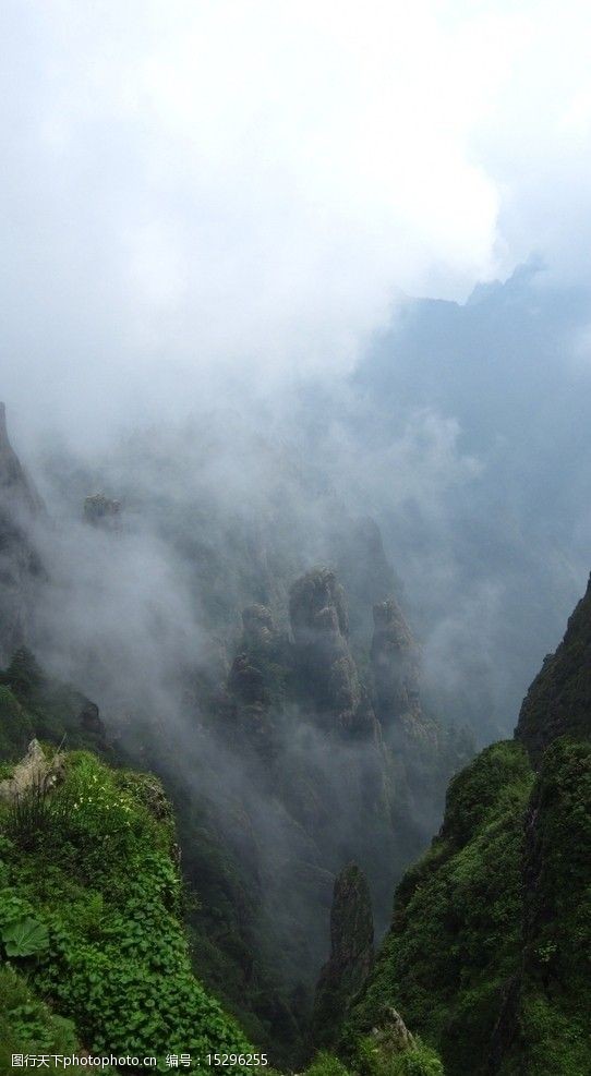 云雾缭绕神农架图片