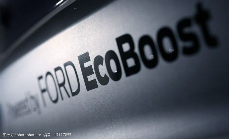 ford福特嘉年华FordFiestaRSWRC2011图片