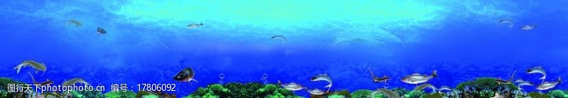 草鱼海底世界图片