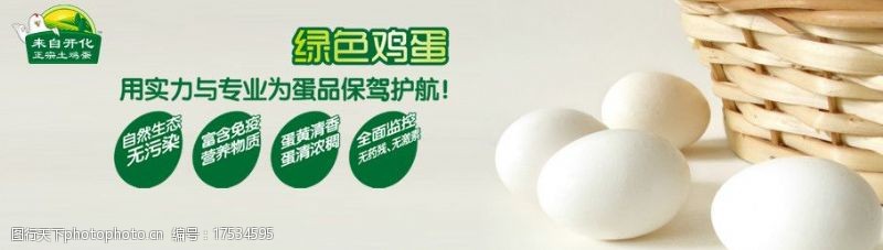 绿色鸡蛋广告土鸡蛋网站广告图片