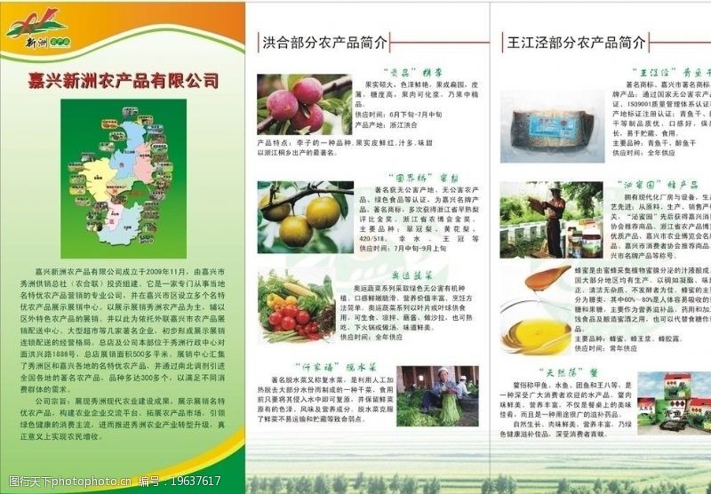 蔬菜三折页农产品三折页图片