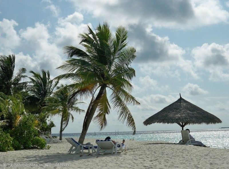 马尔代夫沙滩海滩和椰子树图片