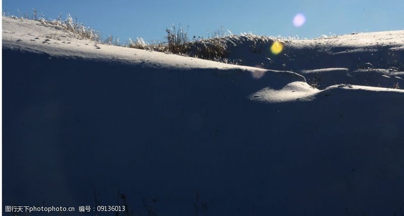 雪地芨芨草雪地光影图片