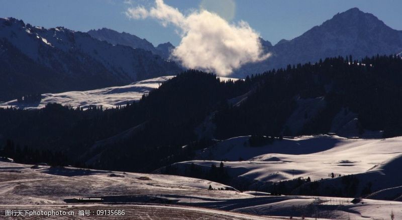 雪地芨芨草雪山飞云图片