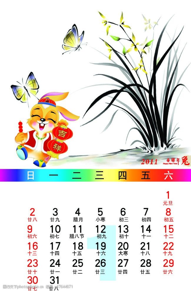 蝴蝶兰兰花一月图片