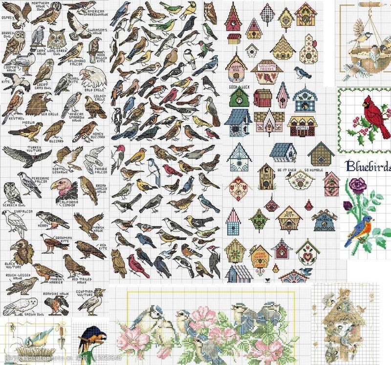 大棚十字绣鸟类图谱图片