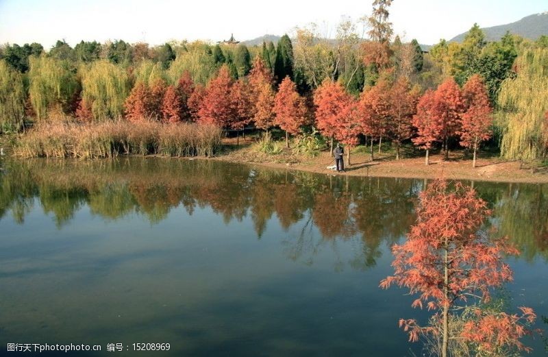 金陵南京梅花山的秋天图片