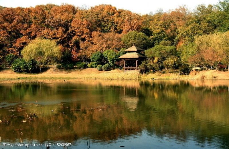 金陵琵琶湖的秋天图片