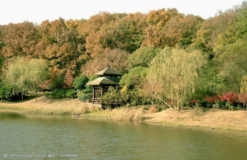 金陵琵琶湖秋色图片