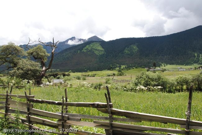 西藏风景免费下载西藏风景