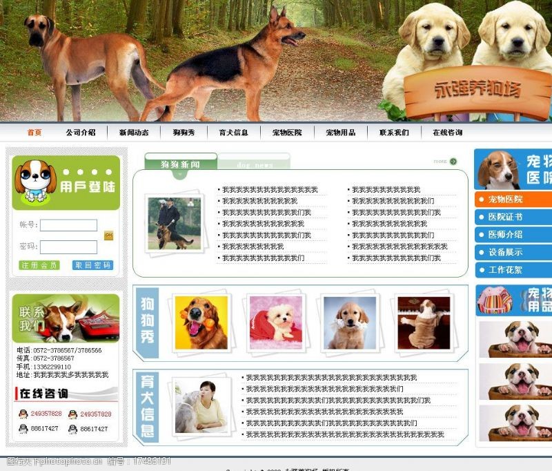 信息咨询网站宠物网站模板图片