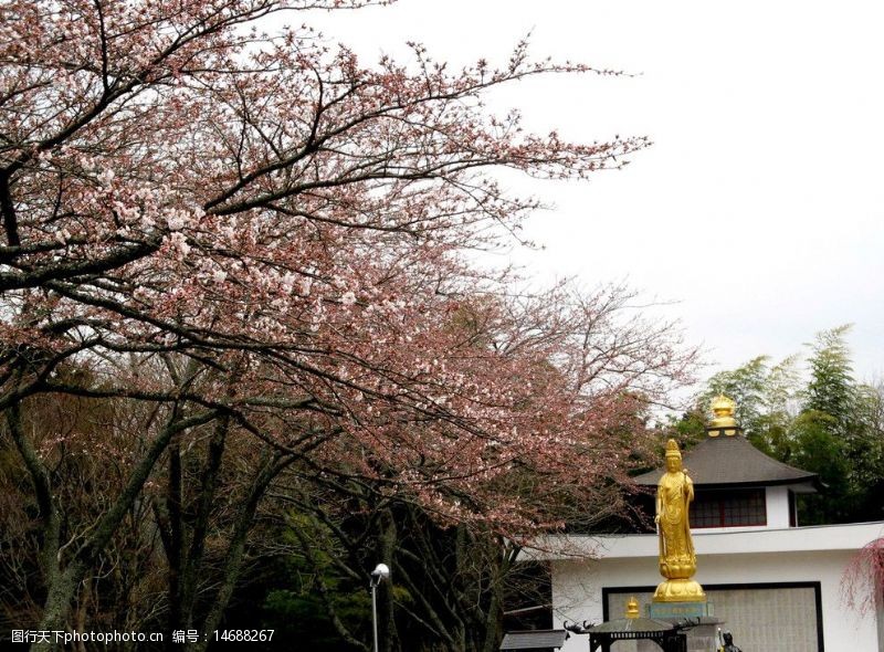 日本平和公园图片免费下载 日本平和公园素材 日本平和公园模板 图行天下素材网