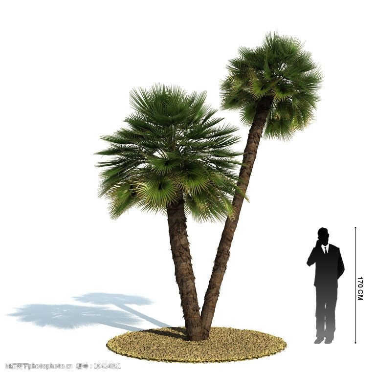 模型树3D绿色树木模型图片