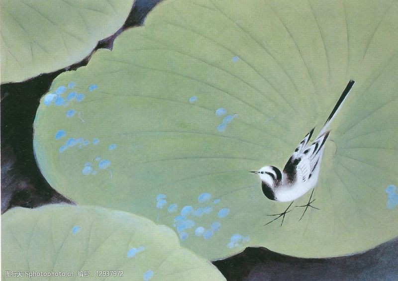 日本现代花鸟翡翠露图片