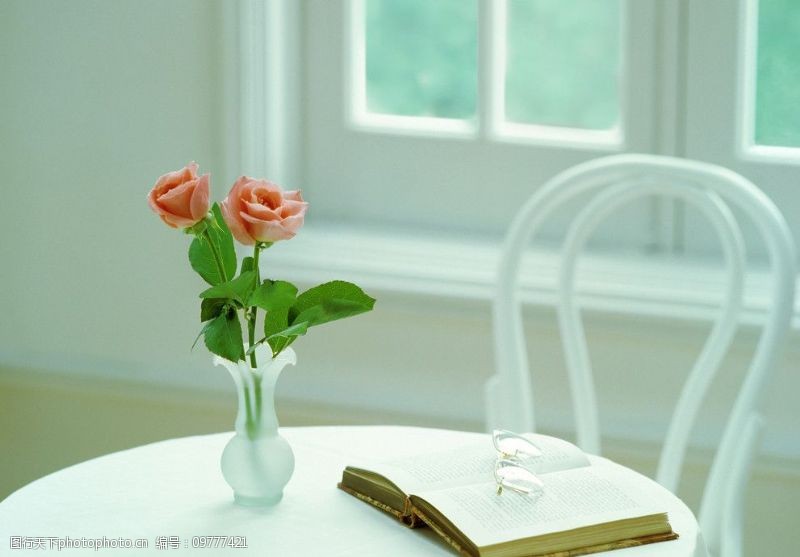 书刊封面窗前圆桌上的玫瑰书刊图片