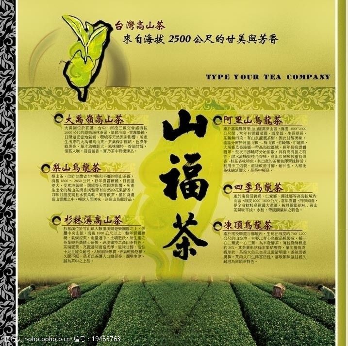 阿里山茶台湾茶分布海报图片