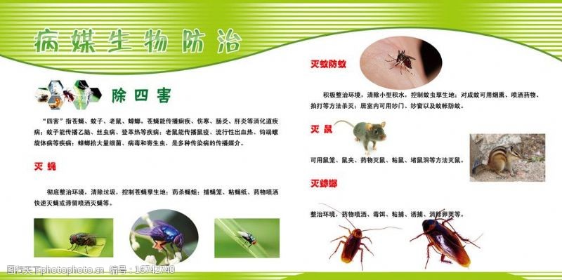 蚊媒传染病病媒生物防治图片