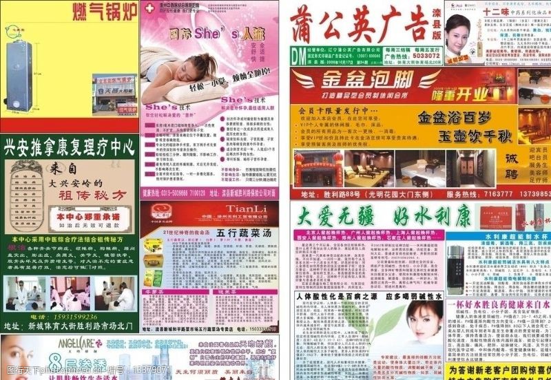中西医结合蒲公英广告DM报纸图片