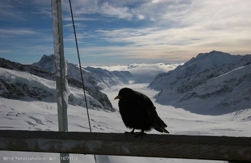 瑞士风光瑞士雪景图片