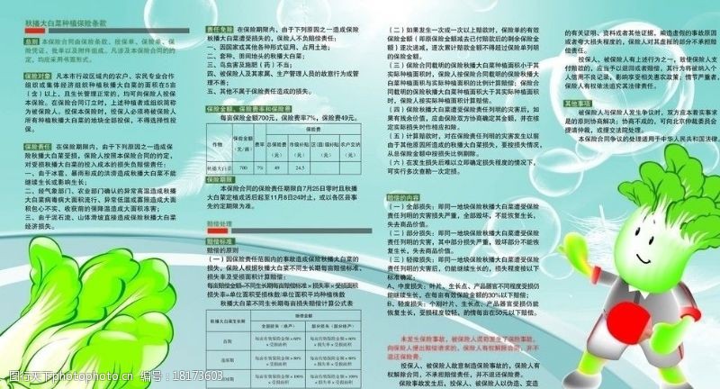 蔬菜三折页保险蔬菜彩页图片
