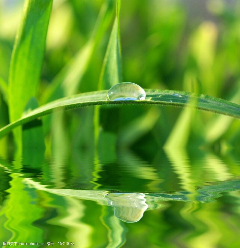 天然水晶碧绿的水图片