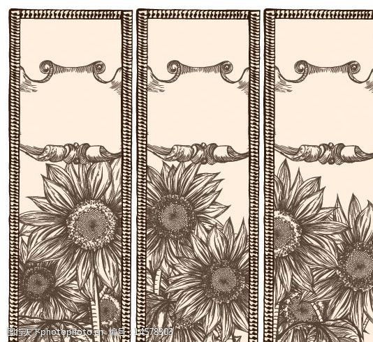 花纹花卉横幅古典花卉花朵banner矢量素材图片