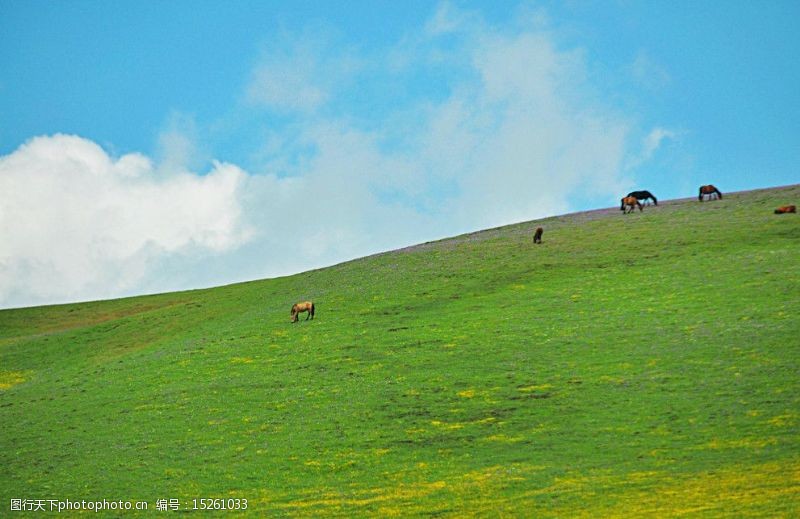 那拉提草原新疆风景图片