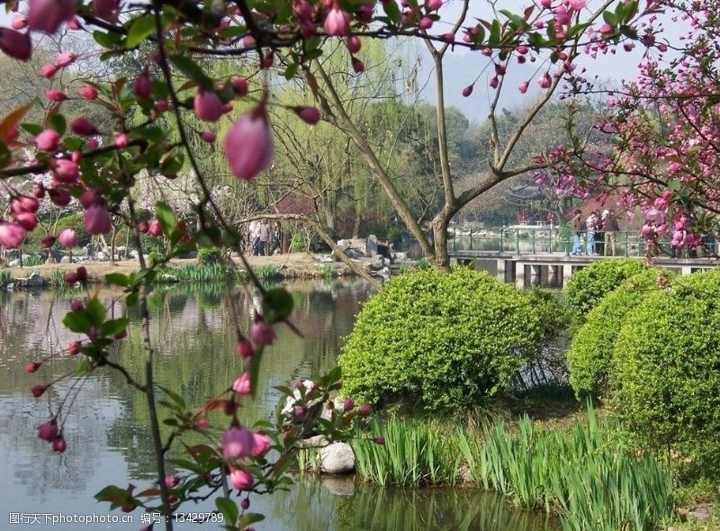杭州西湖名胜西湖之春图片