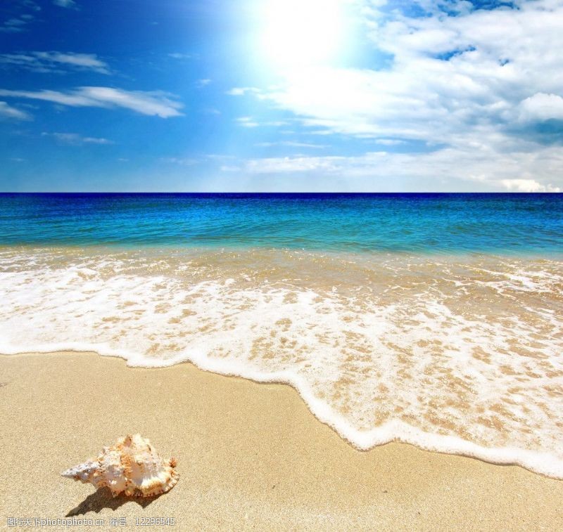 蓝天白云沙滩大海贝壳图片
