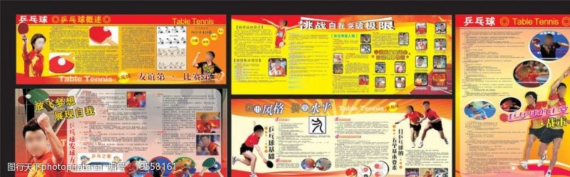 羽毛球海报乒乓球体育宣传栏图片