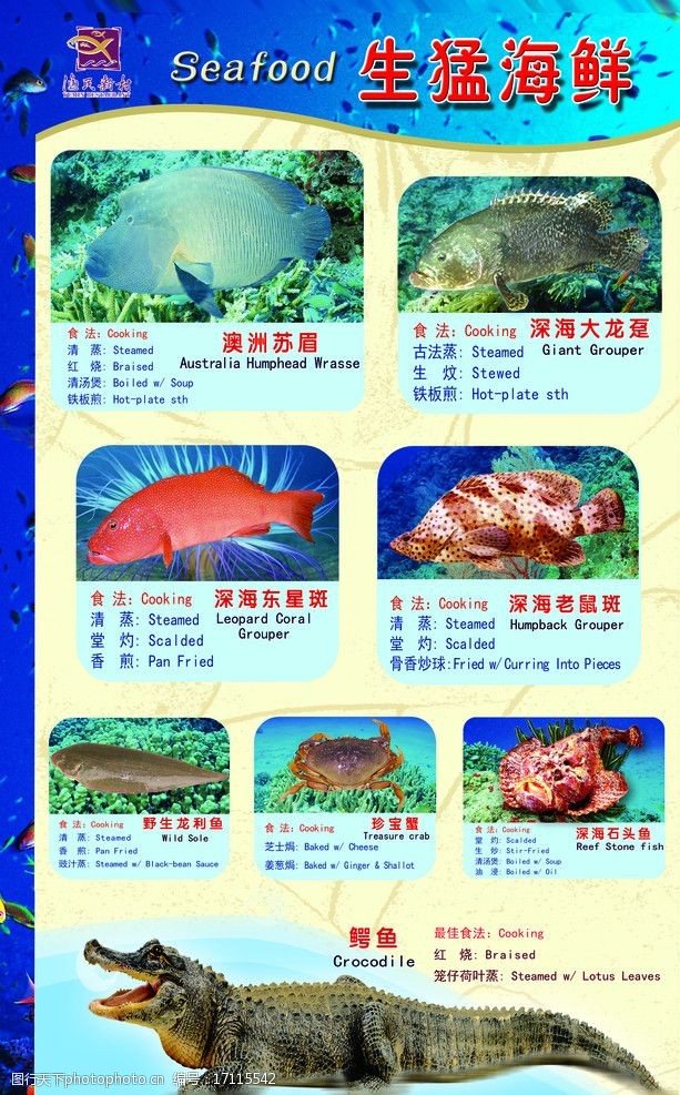 深海大龙趸生猛海鲜图片