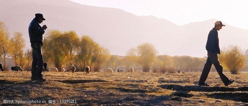 晨雾新疆喀什地区风光人文图片