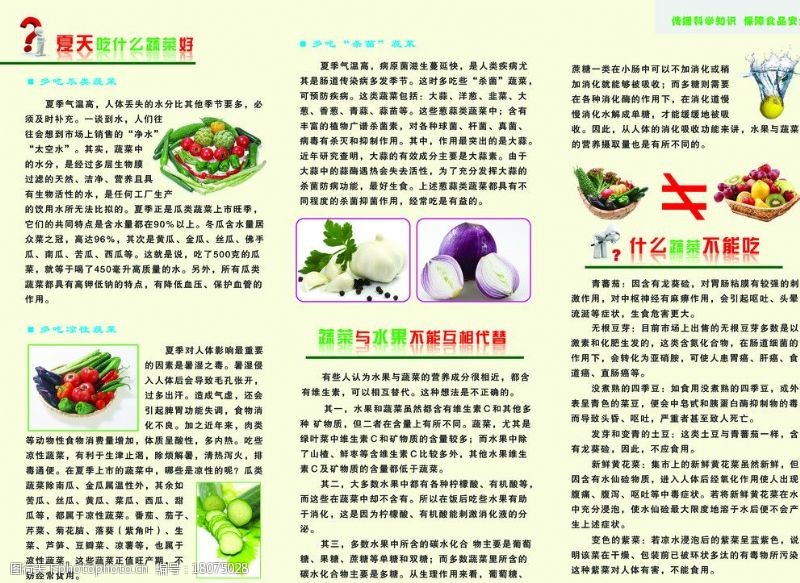 蔬菜三折页科学饮食健康生活三折页内页图片