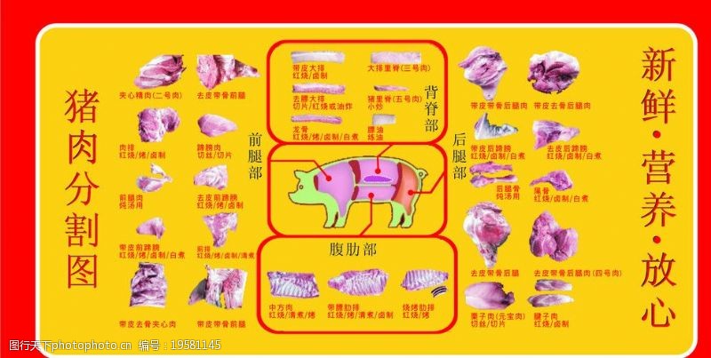 海鲜写真猪肉分割图图片