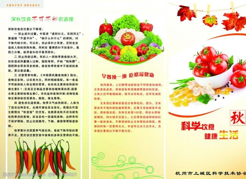 蔬菜三折页科学饮食健康生活三折页封面图片