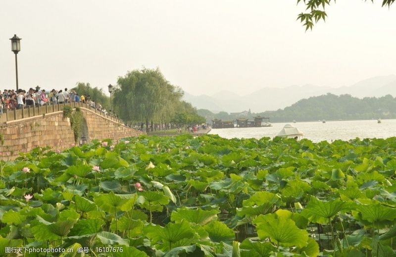 杭州西湖上断桥图片