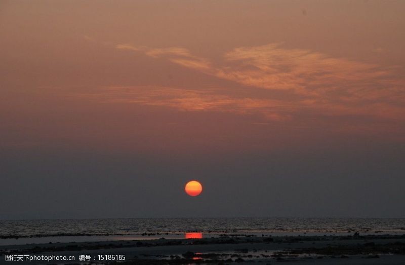 度假村泰国PP岛日出图片