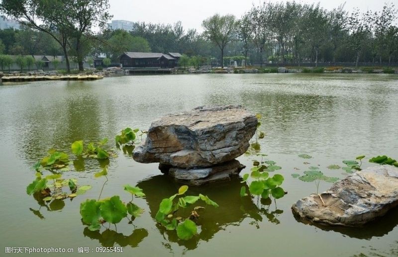 宁夏建工湖中的小品图片