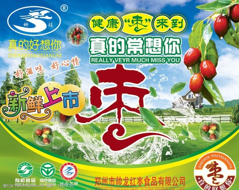 上海地标帅龙红枣海报图片