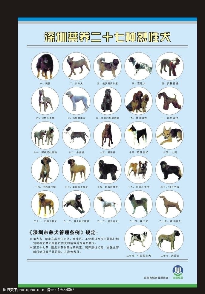 波塔斯禁养27种烈性犬图片