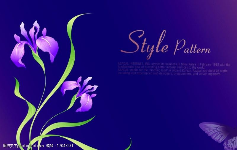 蝴蝶兰兰花紫色的鼠绘兰花图片
