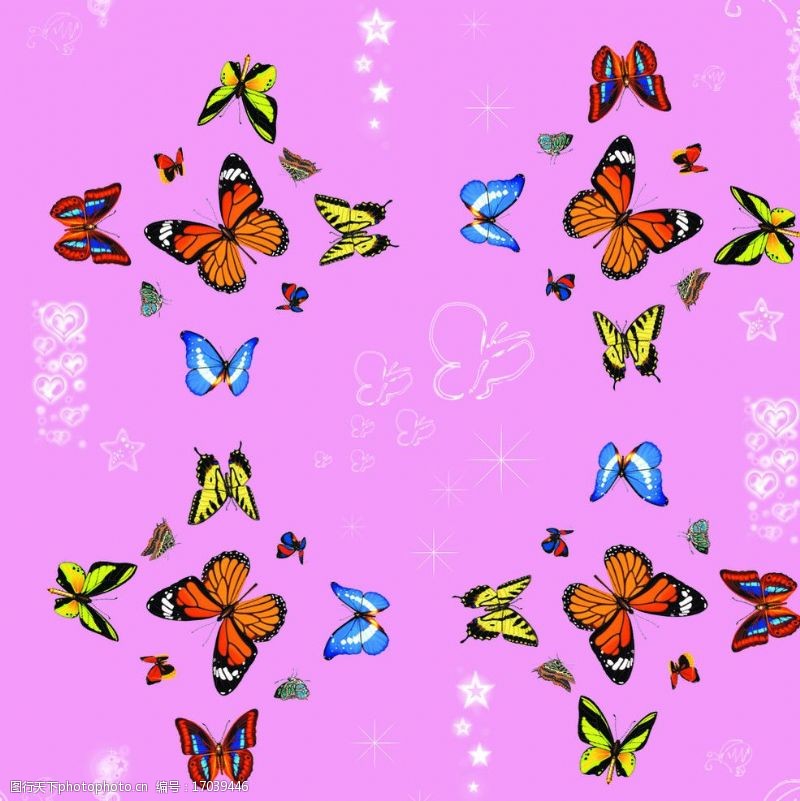 各种颜色的蝴蝶多彩的蝴蝶图片