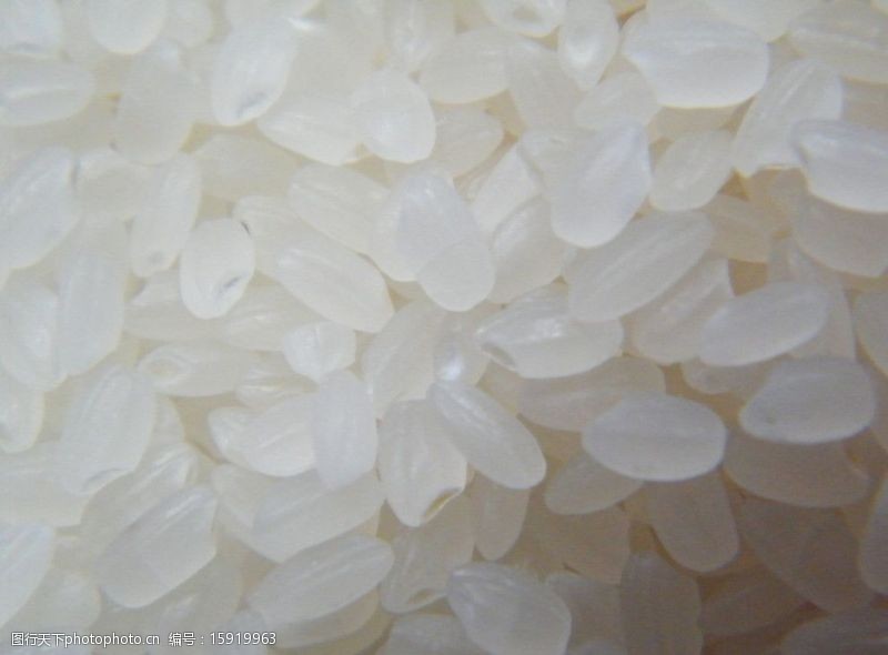 水稻优质大米图片
