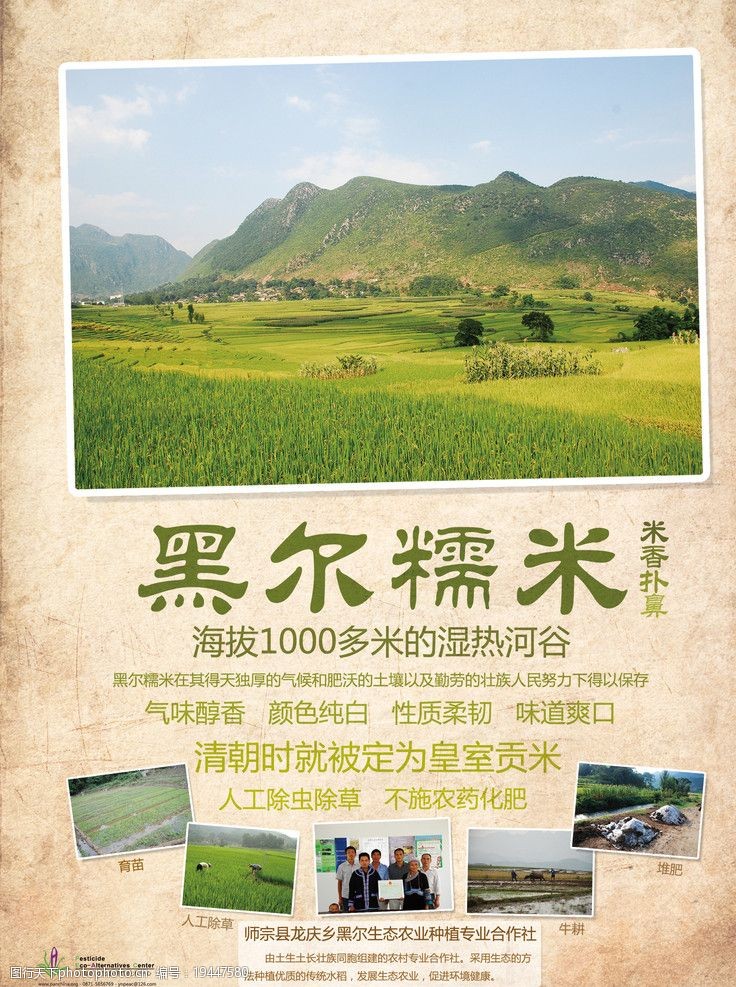 稻米生态产品海报图片