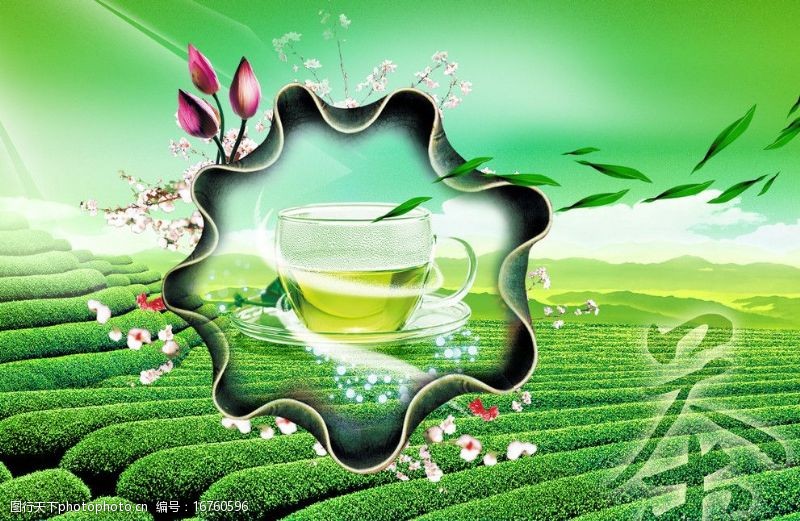 艺术字茶叶茶文化海报图片