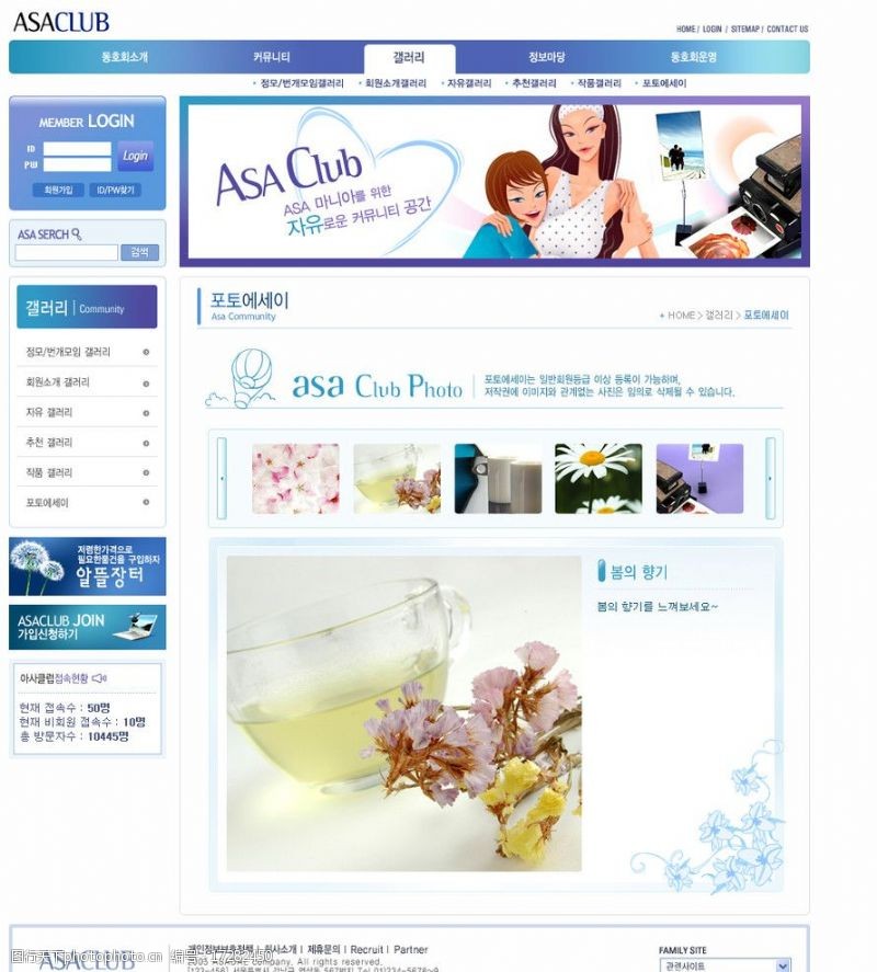 商务美女商业网站模板图片