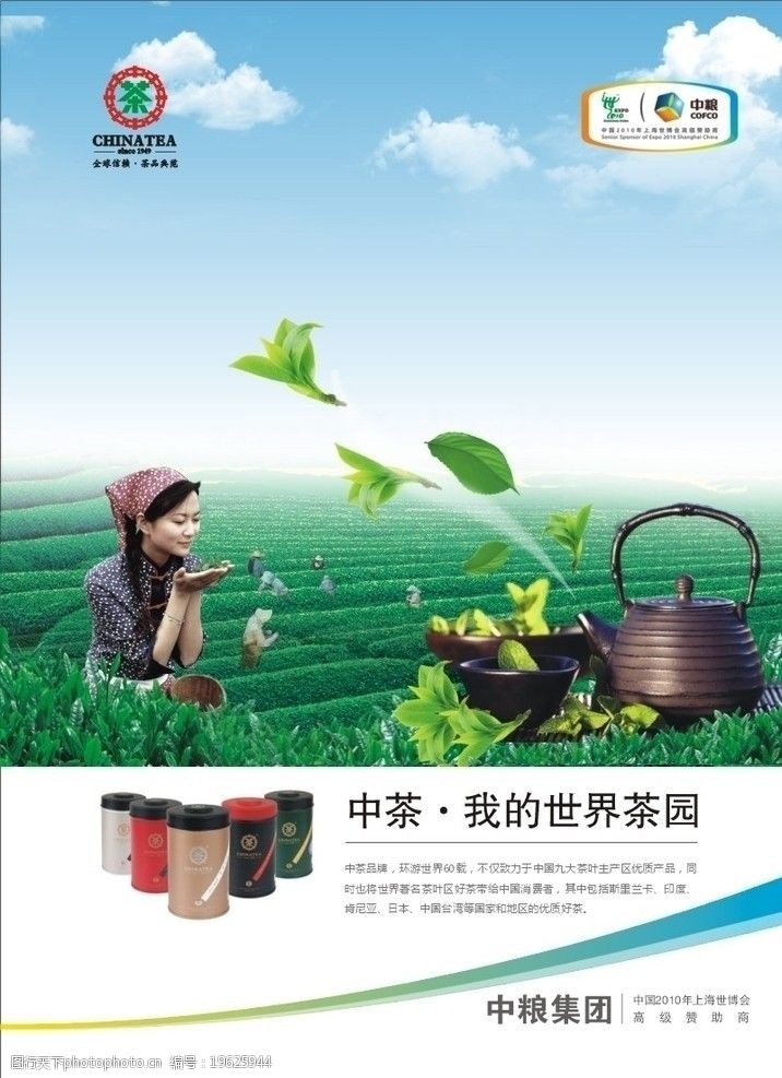 采茶女中茶广告图片