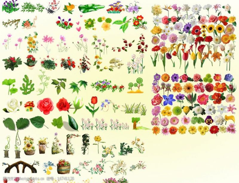海棠各类花卉图片