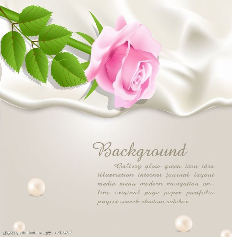 矢量绸缎玫瑰花丝绸背景图片