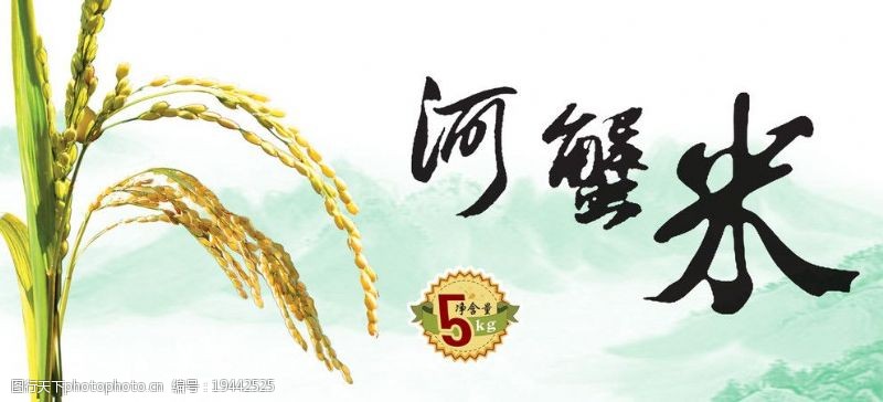 稻米大米海报图片